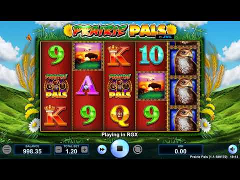 Prairie Pals – Video Gameplay