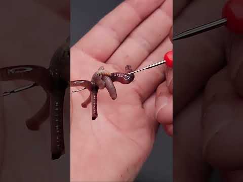 COMO USAR LA LOMBRIZ PARA PESCAR CARPAS