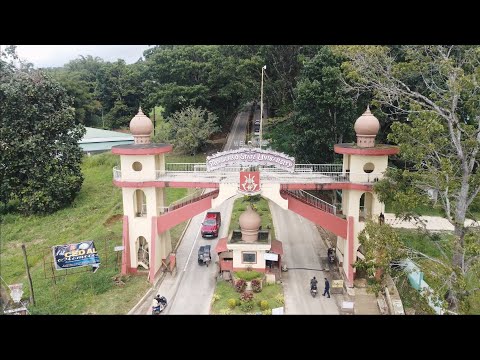 Msu Main Campus