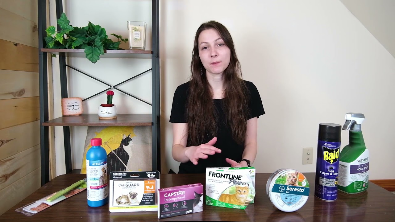 Frontline Plus for Cats and Kittens Review (We Tried It)