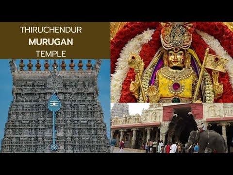 Thiruchendur Murugan Temple l Hansika Deepan l HD l Hansika l HP