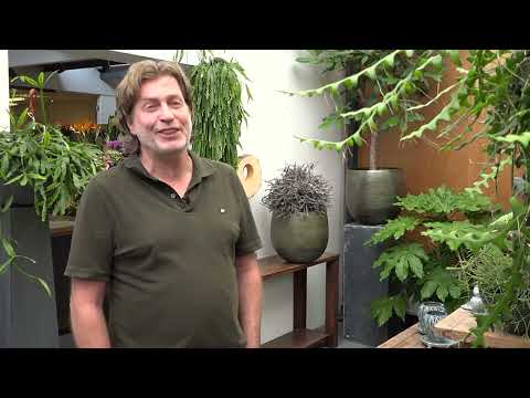 Venlose bloemist na verkoop naar Grubbenvorst