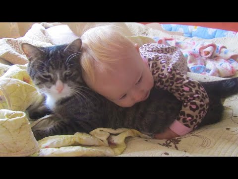 When Cats and Babies Grow Together as Siblings 😻