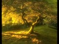 Lemon tree - FayWong 
