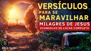 Versculos Para Se Maravilhar Com Os Milagres De Jesus -  Evangelho De Lucas Completo Bblia Falada.