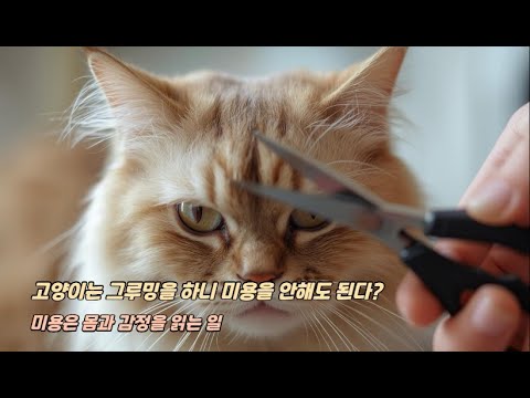 『스타일링캣: 고양이 미용 디자인북』 - 신간출간(진서연, 나비의활주로)