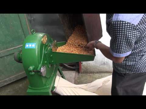 Flour mill corn grinding machine