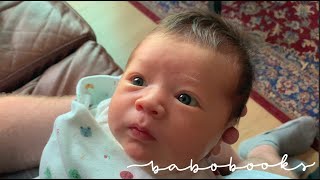 VLOG | 그동안 업로드가 없었던 이유 (국제 이사, 유기견 입양, 출산👼🏻)