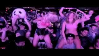 Dub Police North American Tour 2013