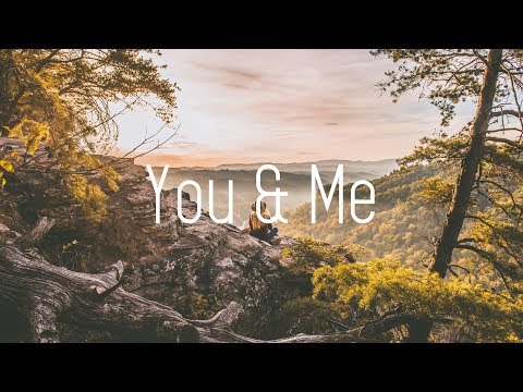 WildVibes - You And Me ft. Fenris (Lyrics)