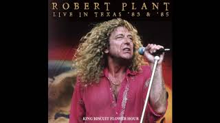 Robert Plant -『Easily Led』