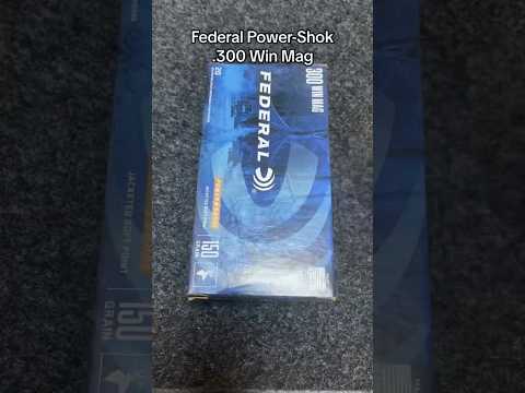 HAIL to the KING?! 30-06 Federal Fusion 180gr Ammo Test