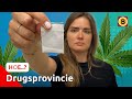 Drugslabs, hennepplantages en grote ladingen coke | HOE..?