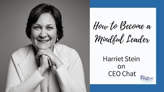 Harriet Stein, Big Toe in the Water, interviewed on The Mindful Workplace on CEO Chat