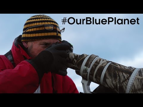 What Does It Take To Be A Blue Planet II Cameraman? #OurBluePlanet | BBC Earth