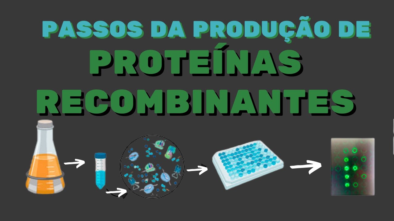 Como Produzir Proteínas Recombinantes