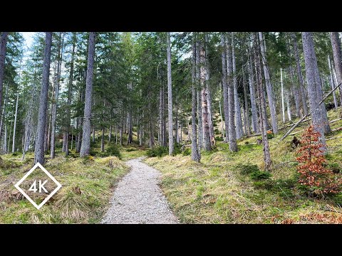 Malerisch 4K Naturwanderung in den bayerischen Alpen | Schöne virtuelle Wandertour und Entspannung