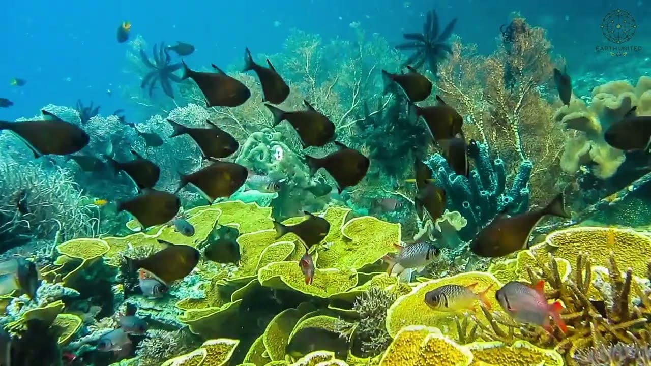 Biodiversity