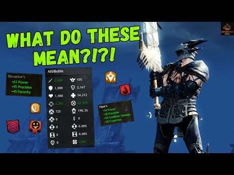 EVERYTHING you NEED to Know About Your Character in Guild Wars 2!