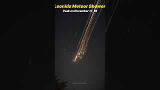 Don't miss the Leonids meteor shower 💀 #shorts #space #astronomy #science #nasa #universe
