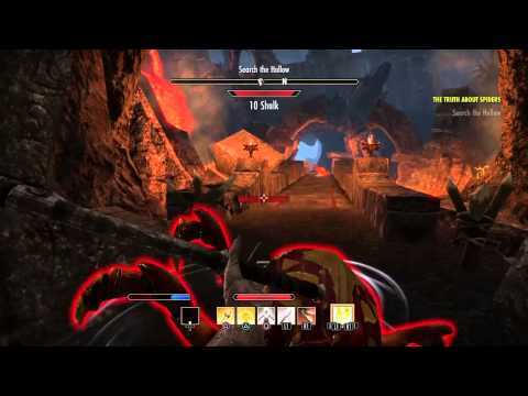 The Elder Scrolls Online console beta The truth about spiders