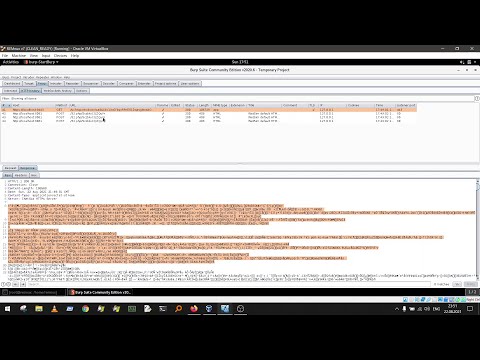 [2] Lokibot analyzing - spoofing GULoader and LokiBot C2 [part2] - INetSim + BurpSuite