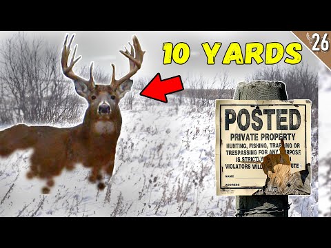 BIG Buck at 10 yards (Bow Hunting Single Digit Temps)