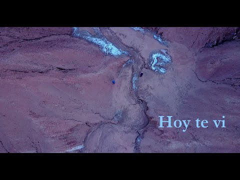 Hoy te vi • TÁ • Perotá Chingó