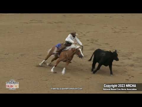 SJR STYLISH N SMOOTH shown by MATT KOCH - 2023 NRCHA Stallion Stakes (Cow, Open Derby Finals)