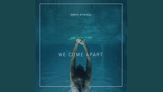 We Come Apart