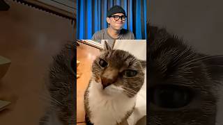 Try Not To Laugh Challenge 1177 🤣 #funny #shorts #viralvideo