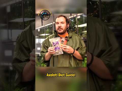 The ULTIMATE Axolotl Diet Guide 🫧 #guide #pets #educational #animals #aquatic #short #axolotl