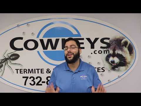 Tips to Protect Yourself from Ticks