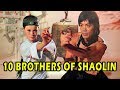 Wu Tang Collection 10 Brothers Of Shaolin