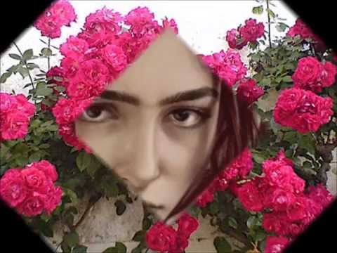 Branca video