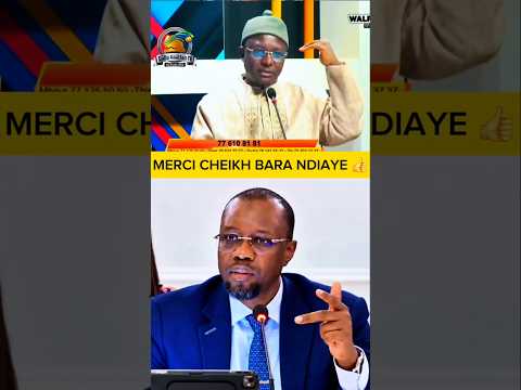 Les vérités de Cheikh Bara Ndiaye sur Ousmane Sonko