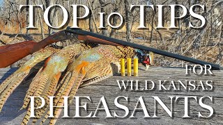 Top Ten Tips for Wild Pheasant Success