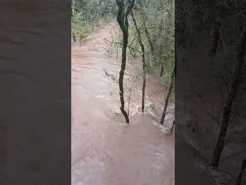 el monte esta todo inundado #nature #itacaruare #misiones