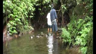 preview picture of video 'Philippines, Biliran province, Balaquid waterfalls.'