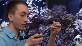 Tetra® – Why aquarium fish make a good first pet