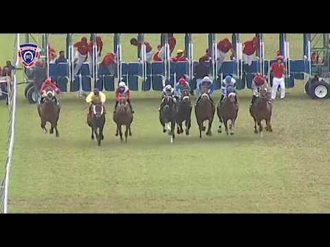 RM13 R4 - Captain Ram(Jp.vanderMerwe)