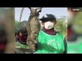 Tehran Infested With Rats As Big As Cats - YouTube