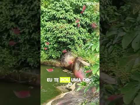 BOM DIA FAMÍLIA ALTO ESPORTE DE ITAPAJÉ CEARÁ
