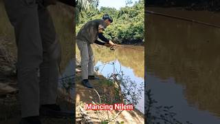 Download lagu Mancing Nilem di Air Keruh #shorts #mancingnilemdisungai mp3
