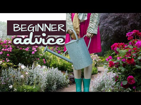Flower Gardening For Beginners – the Secrets No One Tells You
