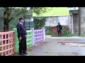 СОЛЗА И СМЕА Сомнително лице