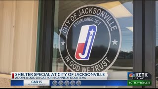 Jacksonville animal shelter special