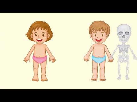 Leçon 4   Les mouvements du corps