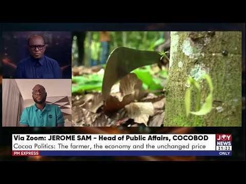Cocoa Politics: The farmer, the economy and the unchanged price   | PM Express (15-6-26)
