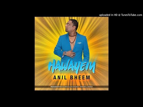Anil Bheem - Hawayein ( Boolywood Remix 2018 )